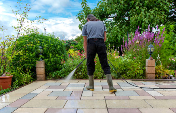 Best Driveway Pressure Washing  in Laguna Niguel, CA